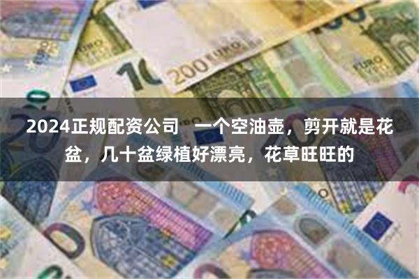 2024正规配资公司   一个空油壶，剪开就是花盆，几十盆绿植好漂亮，花草旺旺的