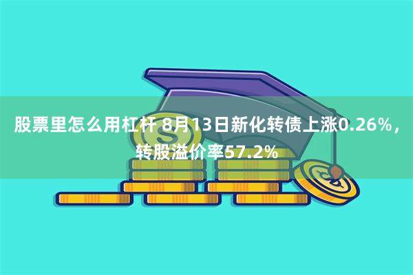 股票里怎么用杠杆 8月13日新化转债上涨0.26%，转股溢价率57.2%