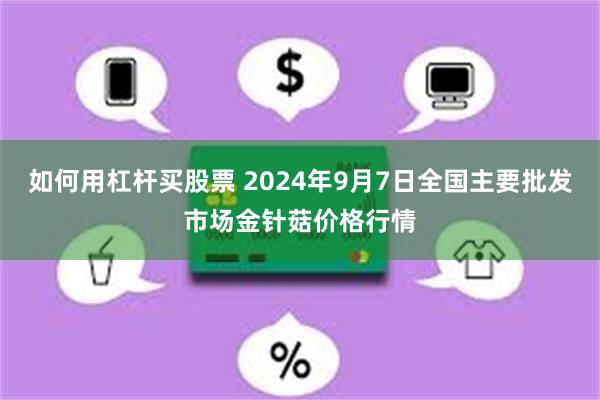 如何用杠杆买股票 2024年9月7日全国主要批发市场金针菇价格行情