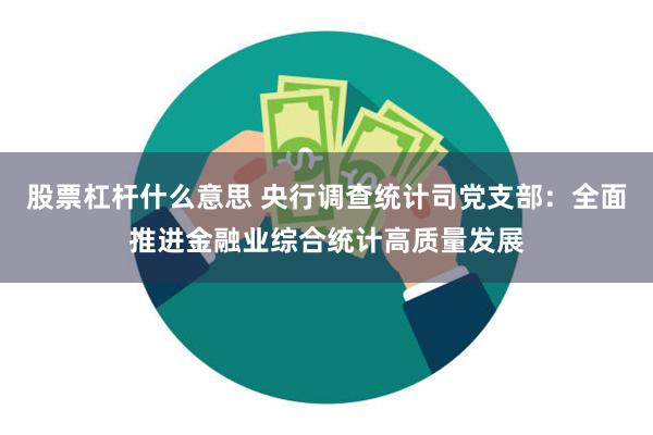 股票杠杆什么意思 央行调查统计司党支部：全面推进金融业综合统计高质量发展