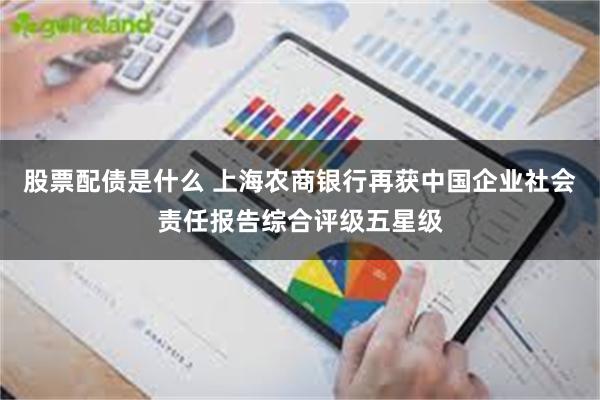 股票配债是什么 上海农商银行再获中国企业社会责任报告综合评级五星级