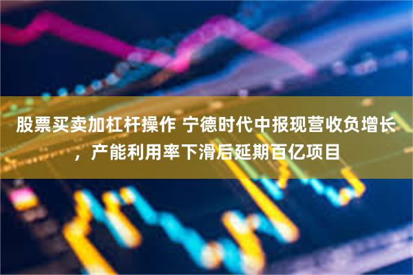 股票买卖加杠杆操作 宁德时代中报现营收负增长，产能利用率下滑后延期百亿项目