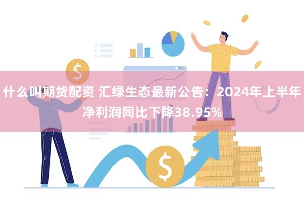 什么叫期货配资 汇绿生态最新公告：2024年上半年净利润同比下降38.95%