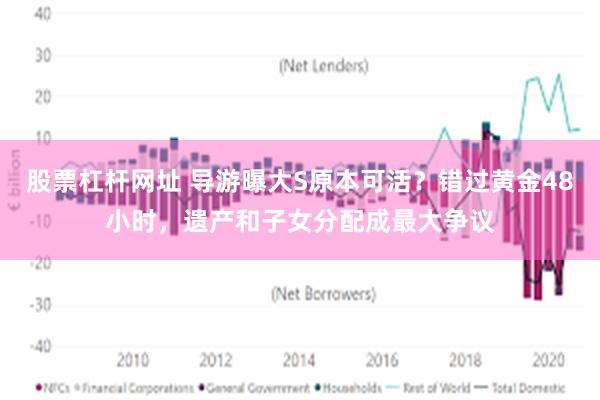 股票杠杆网址 导游曝大S原本可活？错过黄金48小时，遗产和子女分配成最大争议